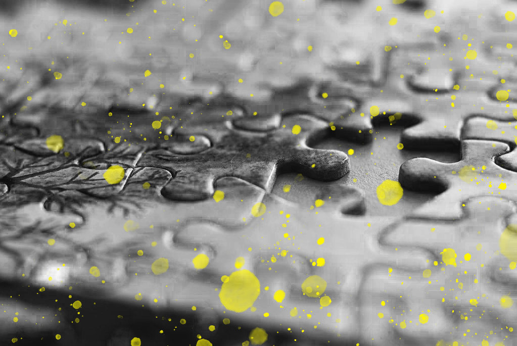 Collaboration in the Field